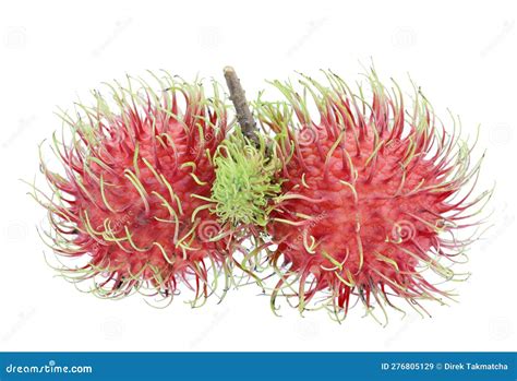 Rambutan Isolated On White Background Tropical Fruit Nephelium