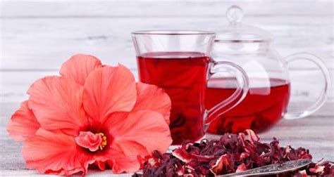 Estos Son Algunos De Los Beneficios De Tomar Una Infusión De Hibisco