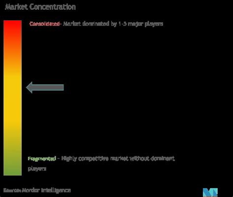 Chronic Lower Back Pain (CLBP) Market Size & Share Analysis - Industry