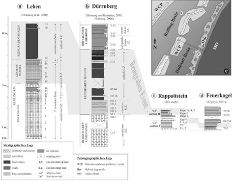 Biostratigraphic Correlation Of Different Sites Located At The Passive