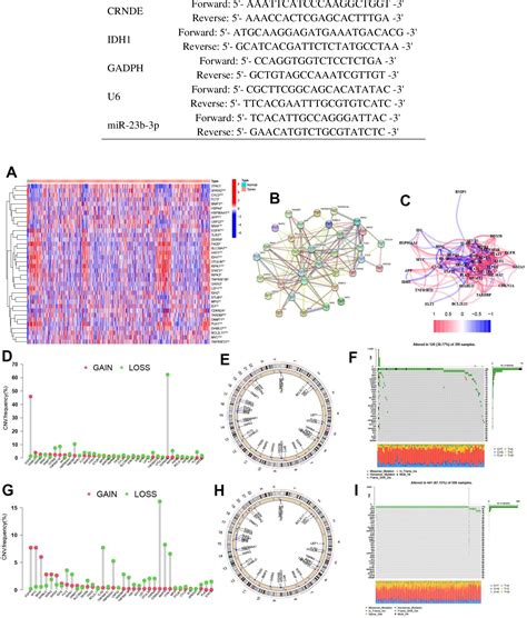 Figure 1 From A Systematic Framework For Identifying Prognostic