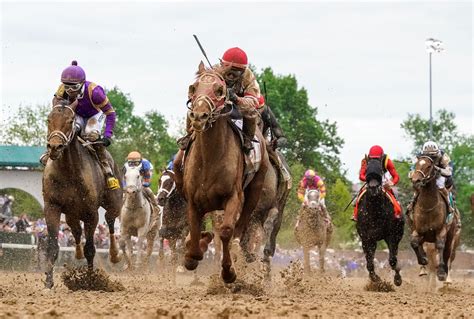 Kentucky Derby 2024 Odds - Devora Haleigh