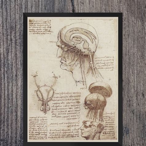 Nude Anatomy Print Etsy Australia