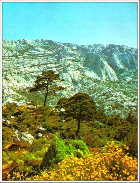 Paysage Montagne Sainte Victoire Aix En Provence Balades Comtoises