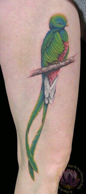 Quetzal Bird. The National bird of Guatemala. I want this as a tattoo, it'll look beautiful with ...