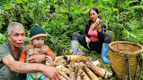 Harvest Bamboo Shoots To Sell Cook Dish Traditional Stuffed Bamboo