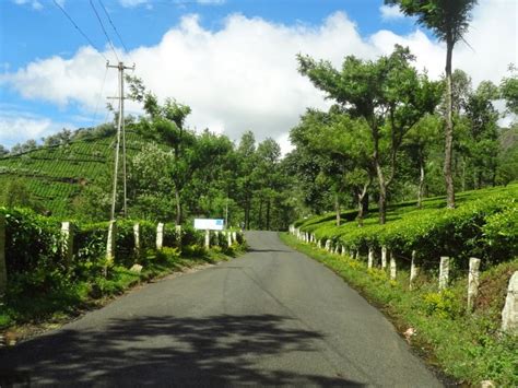 Munnar And Thekkady Lush Green Tea Gardens To Aromatic Spice Plantations Tripoto