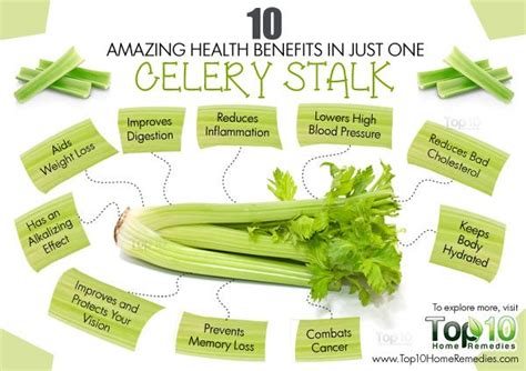 Celery 10 Health Benefits Nutrition And How To Eat Top 10 Home Remedies