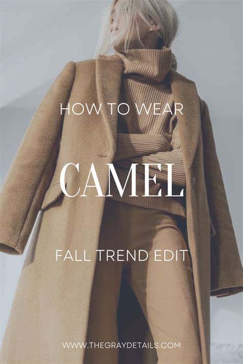 Camel Outfit Ideas - the gray details