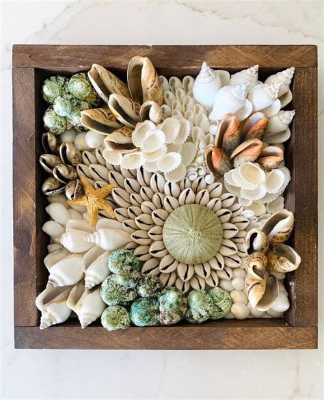 Framed Seashell Wall Mosaic Natural Sea Shells Coastal Nautical Wall