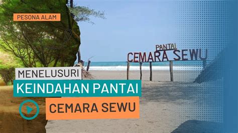 Cemara Sewu Pesona Alam Pantai Yang Indah Di Karangrejo Petanahan