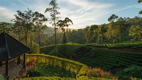 Pekoe Trail First Long Distance Hiking Trail In Sri Lanka