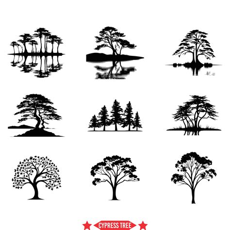 Majestic Cypress Tree Silhouettes Versatile Vector Designs For Nature