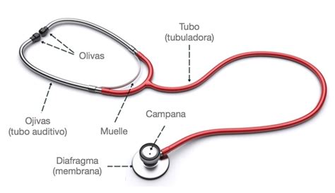 Qu Materiales Podemos Encontrar En Un Estetoscopio