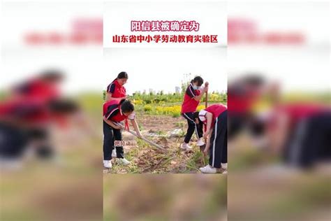 滨州阳信县被确定为山东省中小学劳动教育实验区山东省阳信县劳动