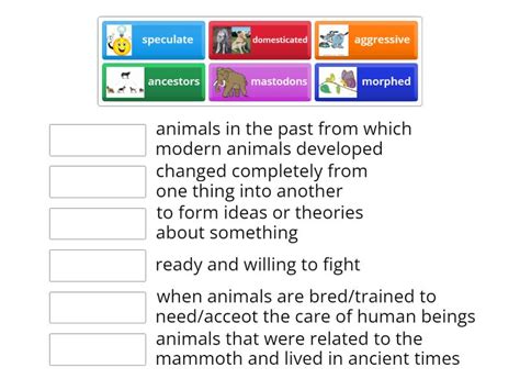 The Amazing History of Dogs - Match up