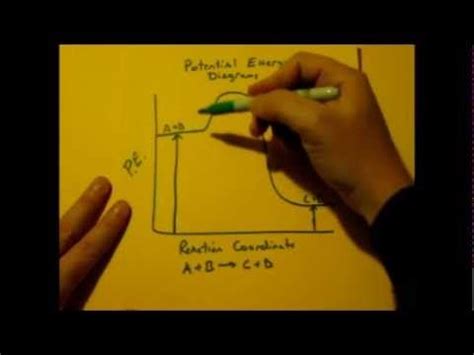 Potential Energy Diagrams | Potential energy, Energy, How to introduce ... 