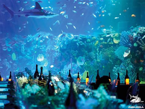 Acuario Inbursa ¡todo Lo Que Debes Saber Para Visitarlo Destinations