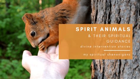 Divine Intervention Stories (#3): Spirit Animals & Their Spiritual Guidance