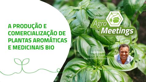 Agromeetings A Produção e Comercialização de Plantas Aromáticas e