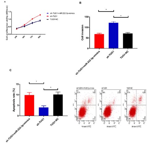 Rescue Experiment A Cell Proliferation B Cell Invasion C