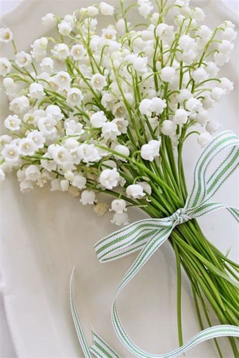 Pourquoi Offre T On Du Muguet Au Er Mai Bouquet De Muguet Muguet