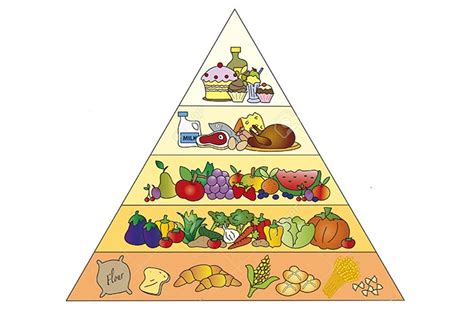 La Piramide Alimentare