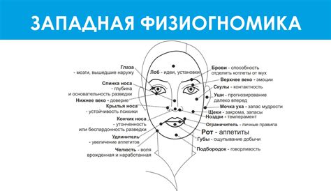 Точки На Лице Картинки — Картинки фотографии