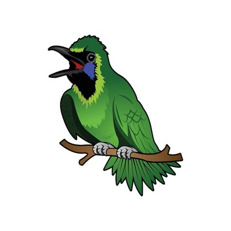 Illustration De L Oiseau Vert Vecteur Premium