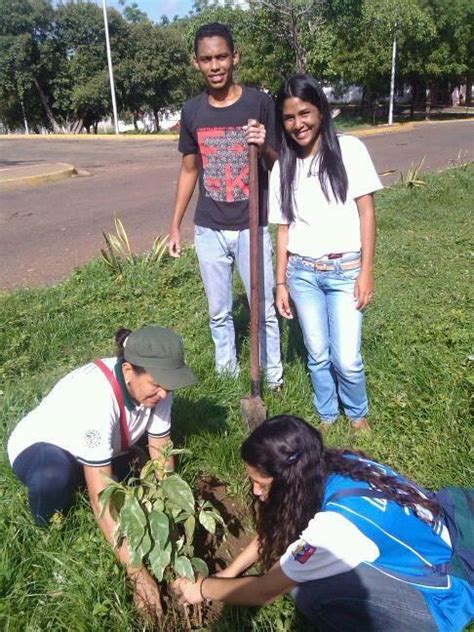 Agrupaci N Ecol Gica La Tierra Primero Junio