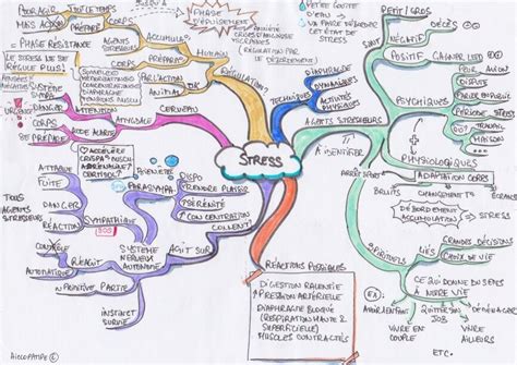 Comprendre Le Stress Origines Cons Quences Et Solutions Pour Une Vie