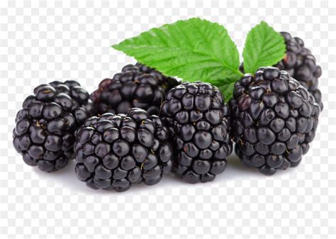 Blackberries Png Transparent Png Vhv