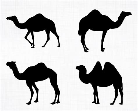 Camel Svg Bundle 2 Camel Svg Camel Clipart Camel Cut Files Etsy