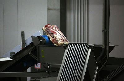 beginilah proses proses pembuatan daging mcdonalds tabek puang