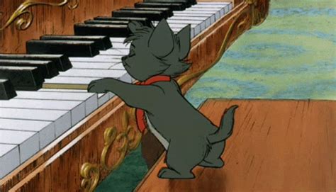 Kitten Playing Piano GIFs - Find & Share on GIPHY