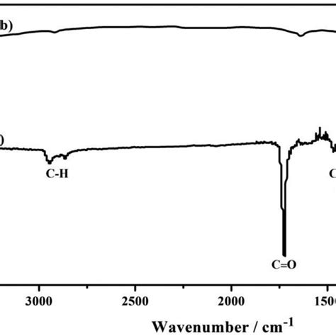 Ftir Spectra Of A Pcl And B Pcl6 Wt Tio 2 Electrospun On Am50