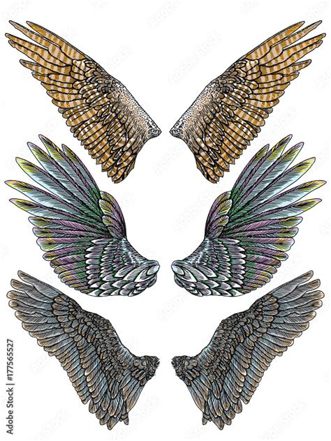 Set Of Colorful Bird Wings Of Different Shape In Open Position Isolated