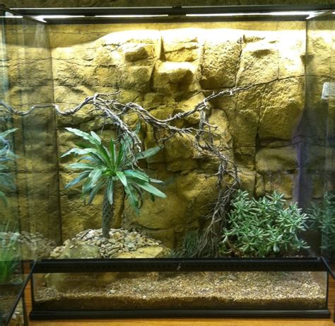 Exo Terra Reptile Aquarium Backgrounds Reptile Products Universal Rocks