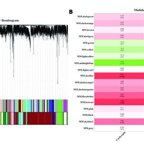 Weighted Gene Co Expression Network Analysis Wgcna Of The