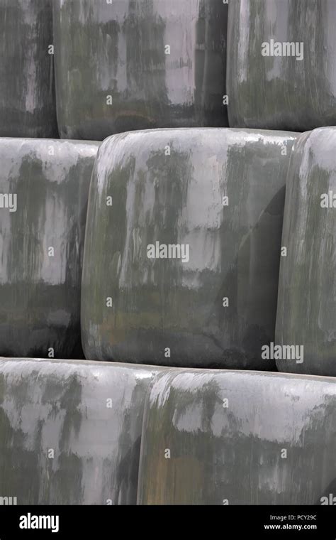 Stacked Round Silage Bales Wrapped In Gray Film To Be Used Later For