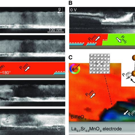 (PDF) Domain Dynamics During Ferroelectric Switching