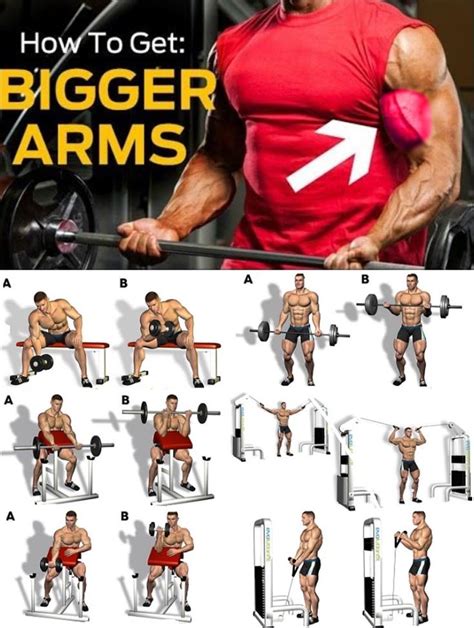 How To Get Bigger Arms Allenamenti Bodybuilding Esercizi Fitness