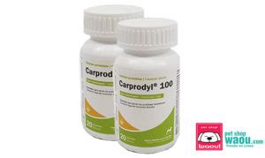 CARPRODYL 100 Mg Carprofeno 100 Mg 20 TAB Petshopwaou