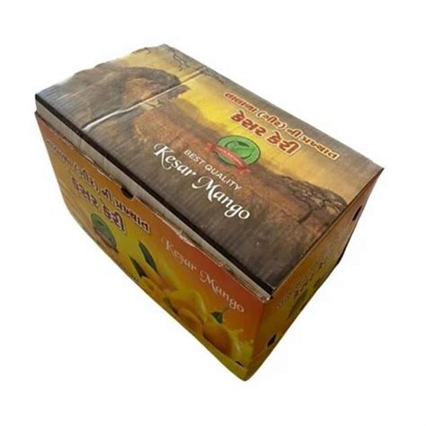 Double Wall 5 Ply Mango Packaging Printed Corrugated Box At Rs 24 Piece