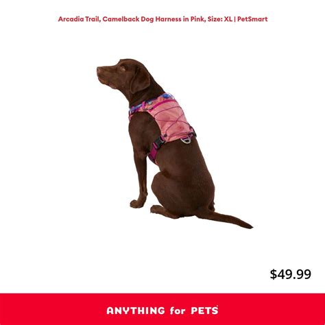 This Arcadia Trail Camelback Dog Harness Makes It Easy To Keep Your Dog