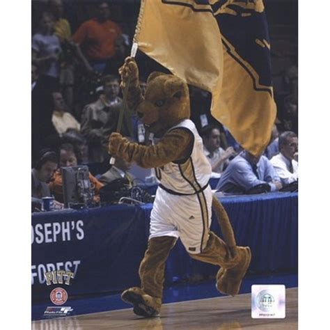 University of Pittsburgh - Panthers Mascot 2004 Photo Print (11 x 14 ...