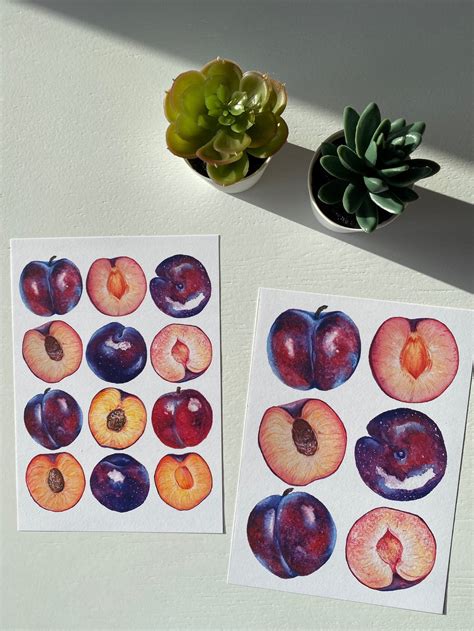 Plum Prints Etsy