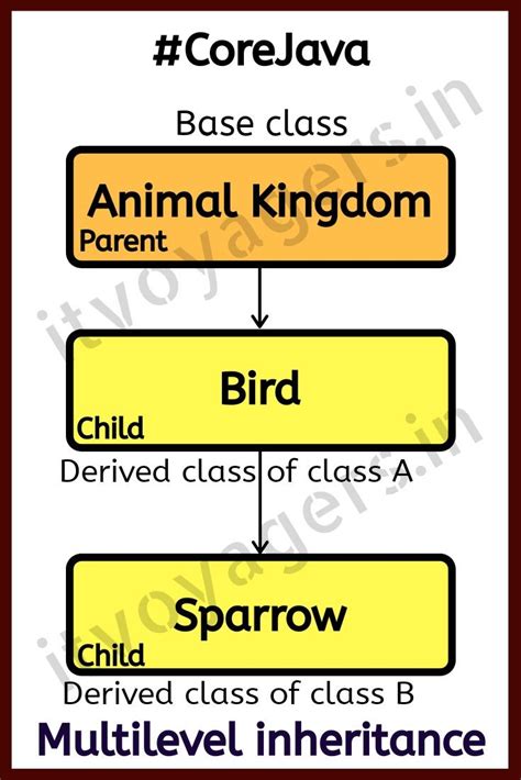 Multilevel Inheritance In Java Example Computer Programming Science Programs Inheritance