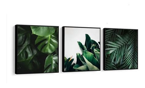 Kit 3 Quadro Decorativo Folhagens Verde Costela Adão Moderno