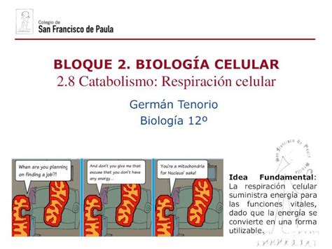 PDF BLOQUE 2 BIOLOGÍA CELULAR 2 8 Catabolismo Respiración